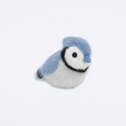 birdling-blue-jay-1