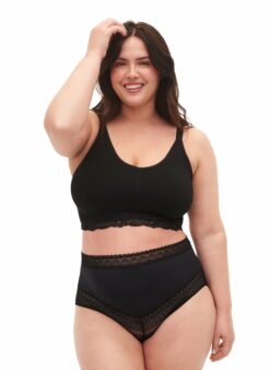 ZiLVulier Brief
